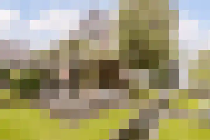 Ossenkampweg 1 Wapenveld thumbnail 62