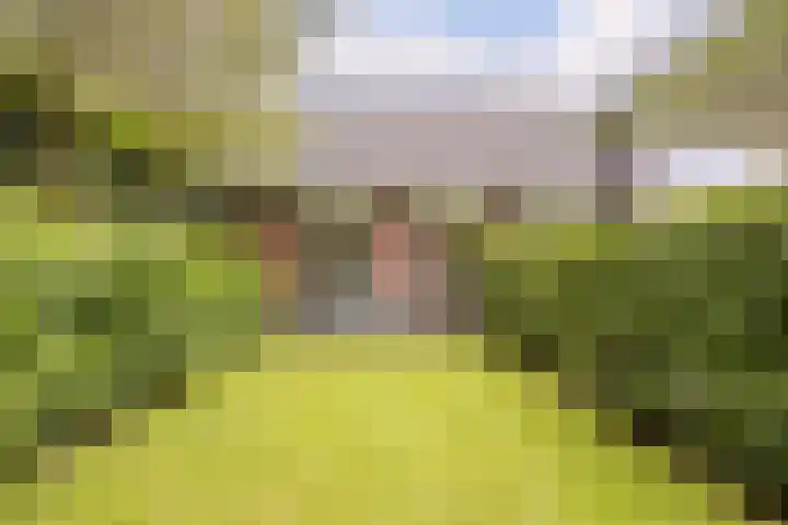 Ossenkampweg 1 Wapenveld thumbnail 63