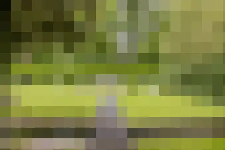 Ossenkampweg 1 Wapenveld thumbnail 64
