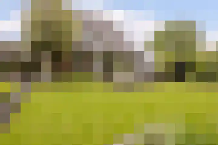 Ossenkampweg 1 Wapenveld thumbnail 65