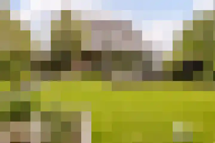 Ossenkampweg 1 Wapenveld thumbnail 66