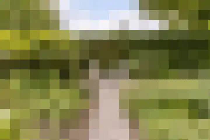Ossenkampweg 1 Wapenveld thumbnail 67