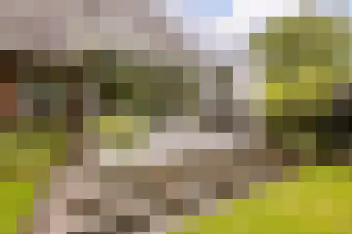 Ossenkampweg 1 Wapenveld thumbnail 68