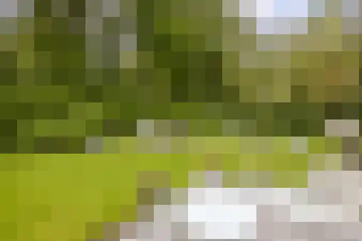 Ossenkampweg 1 Wapenveld thumbnail 69