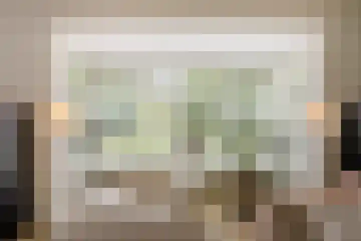 Ossenkampweg 1 Wapenveld thumbnail 7