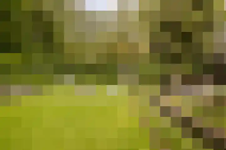 Ossenkampweg 1 Wapenveld thumbnail 71