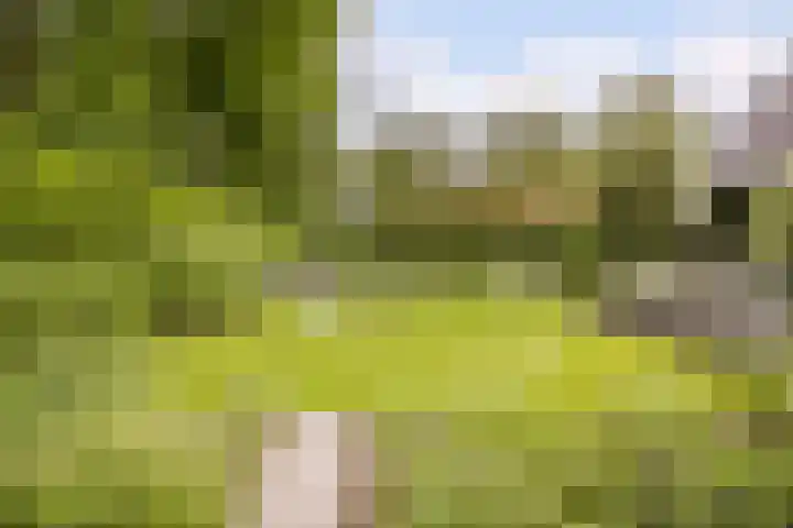 Ossenkampweg 1 Wapenveld thumbnail 72