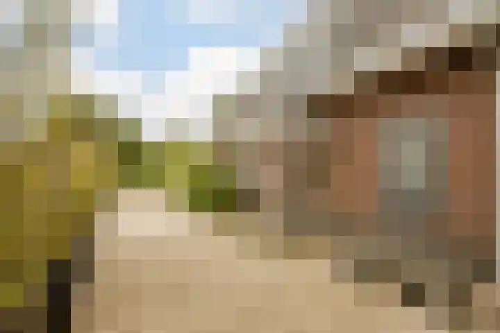 Ossenkampweg 1 Wapenveld thumbnail 73