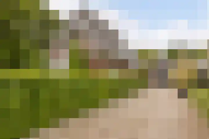 Ossenkampweg 1 Wapenveld thumbnail 76