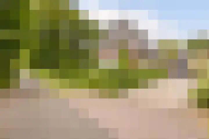 Ossenkampweg 1 Wapenveld thumbnail 77