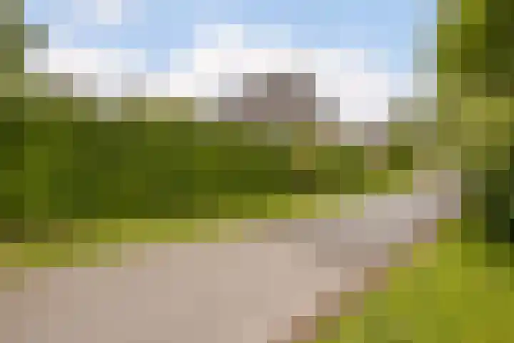 Ossenkampweg 1 Wapenveld thumbnail 78
