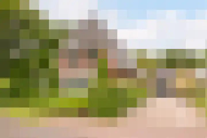 Ossenkampweg 1 Wapenveld thumbnail 83