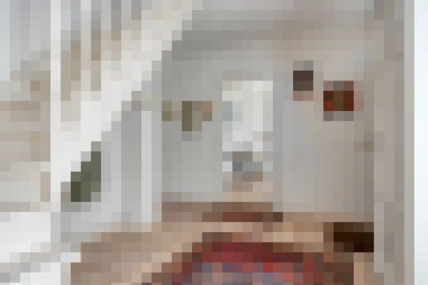 Ossenkapelweg 12 Handel thumbnail 13