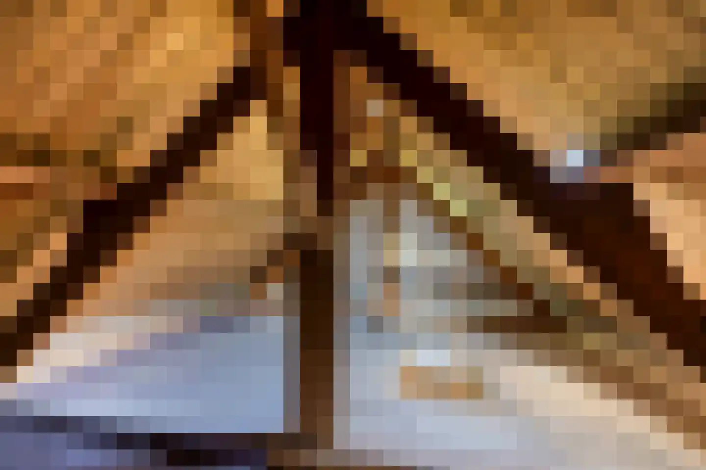 Ossenkapelweg 12 Handel thumbnail 43