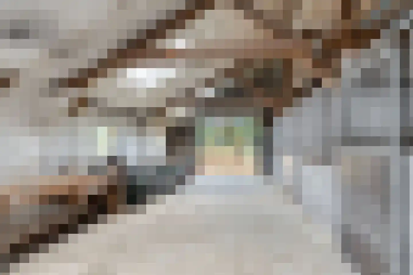 Ossenkapelweg 12 Handel thumbnail 48