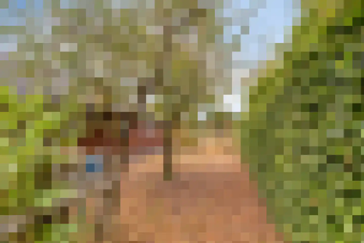 Ossenkapelweg 12 Handel thumbnail 55