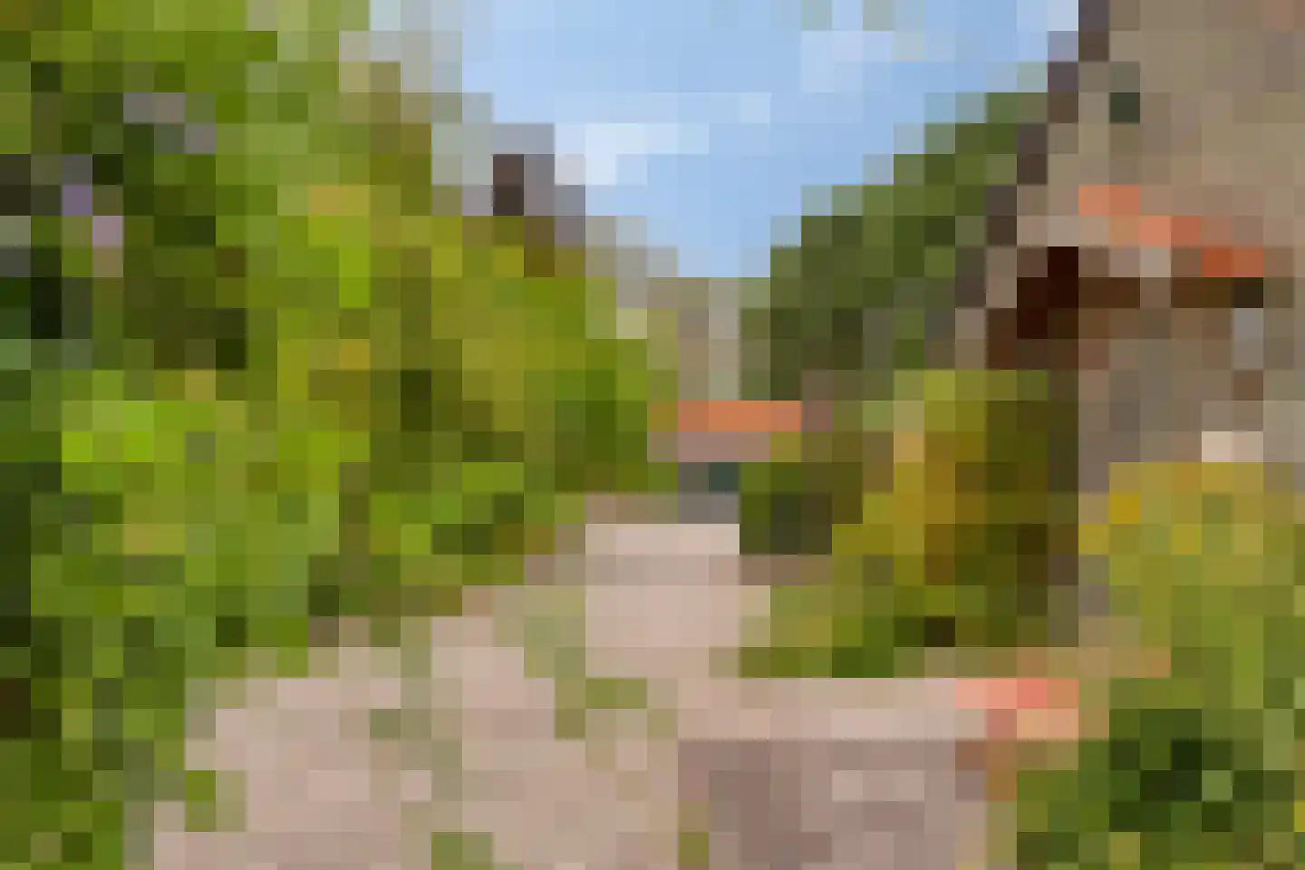 Ossenkapelweg 12 Handel thumbnail 56
