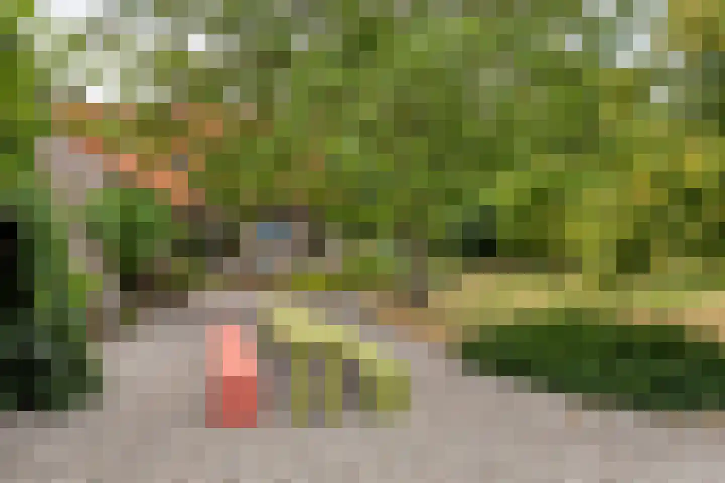 Ossenkapelweg 12 Handel thumbnail 57