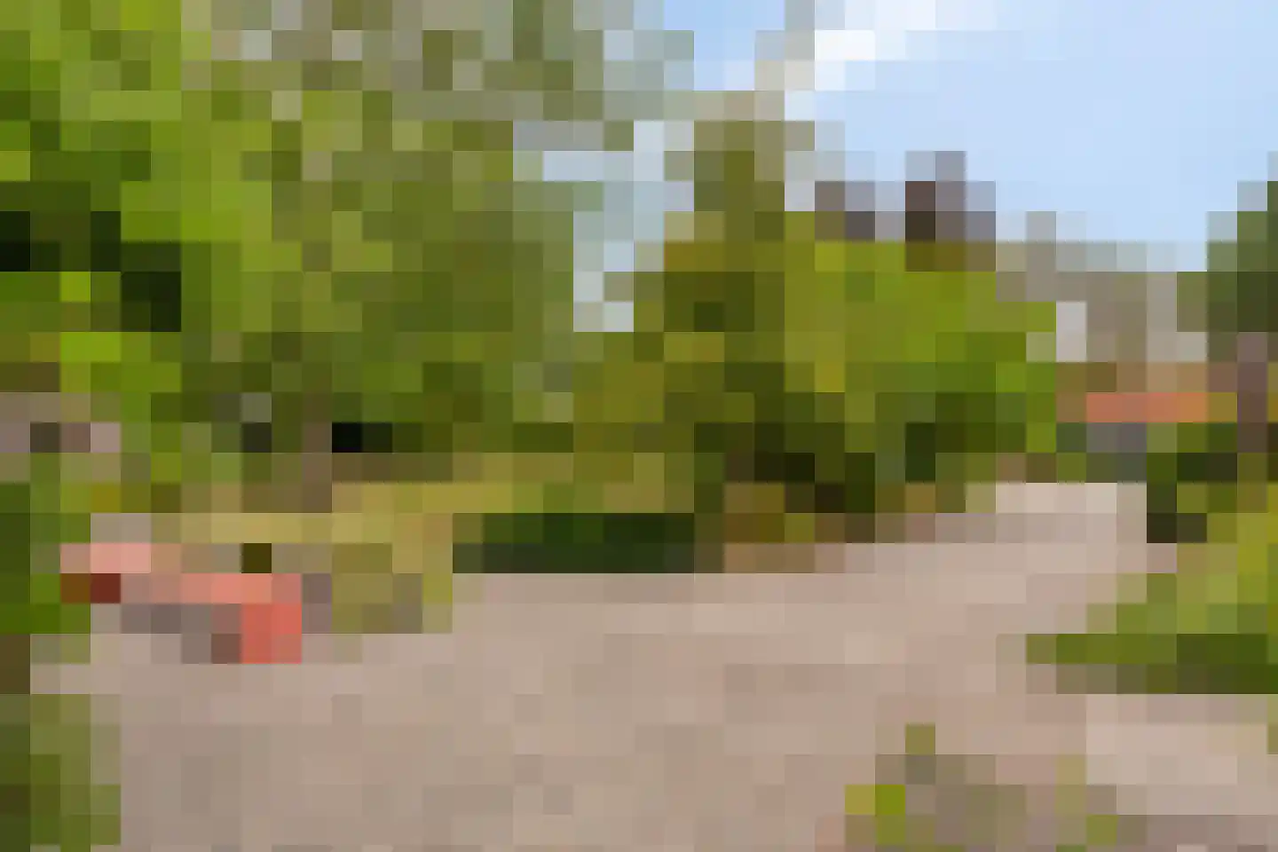 Ossenkapelweg 12 Handel thumbnail 58