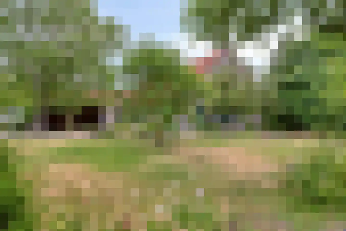Ossenkapelweg 12 Handel thumbnail 62