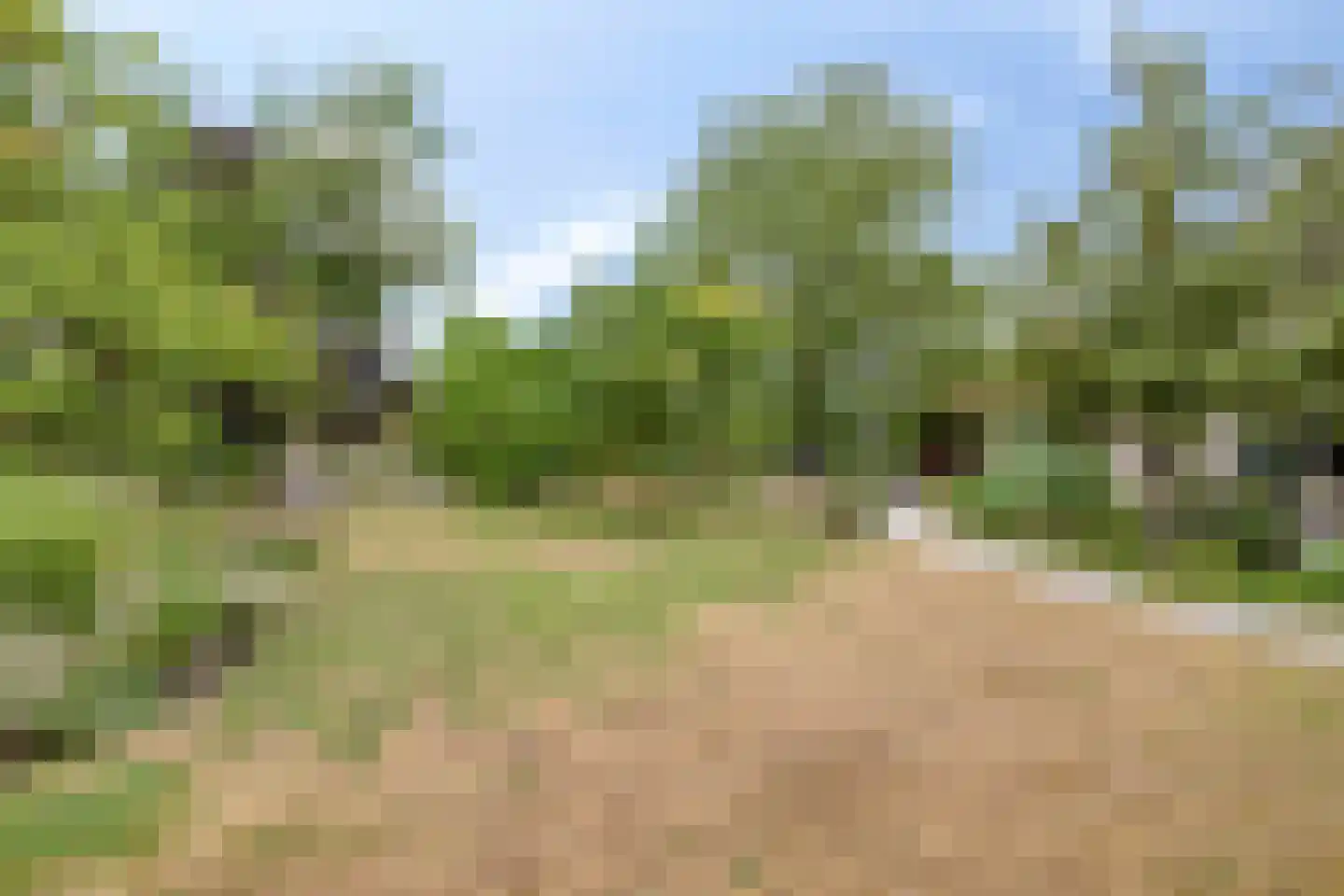 Ossenkapelweg 12 Handel thumbnail 64