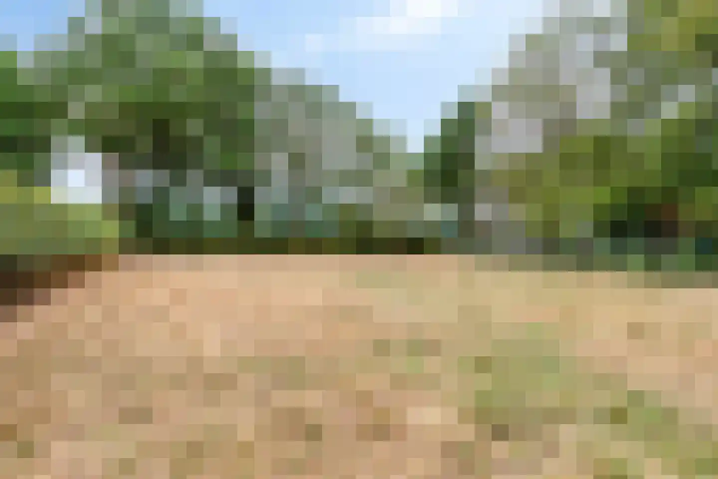Ossenkapelweg 12 Handel thumbnail 65