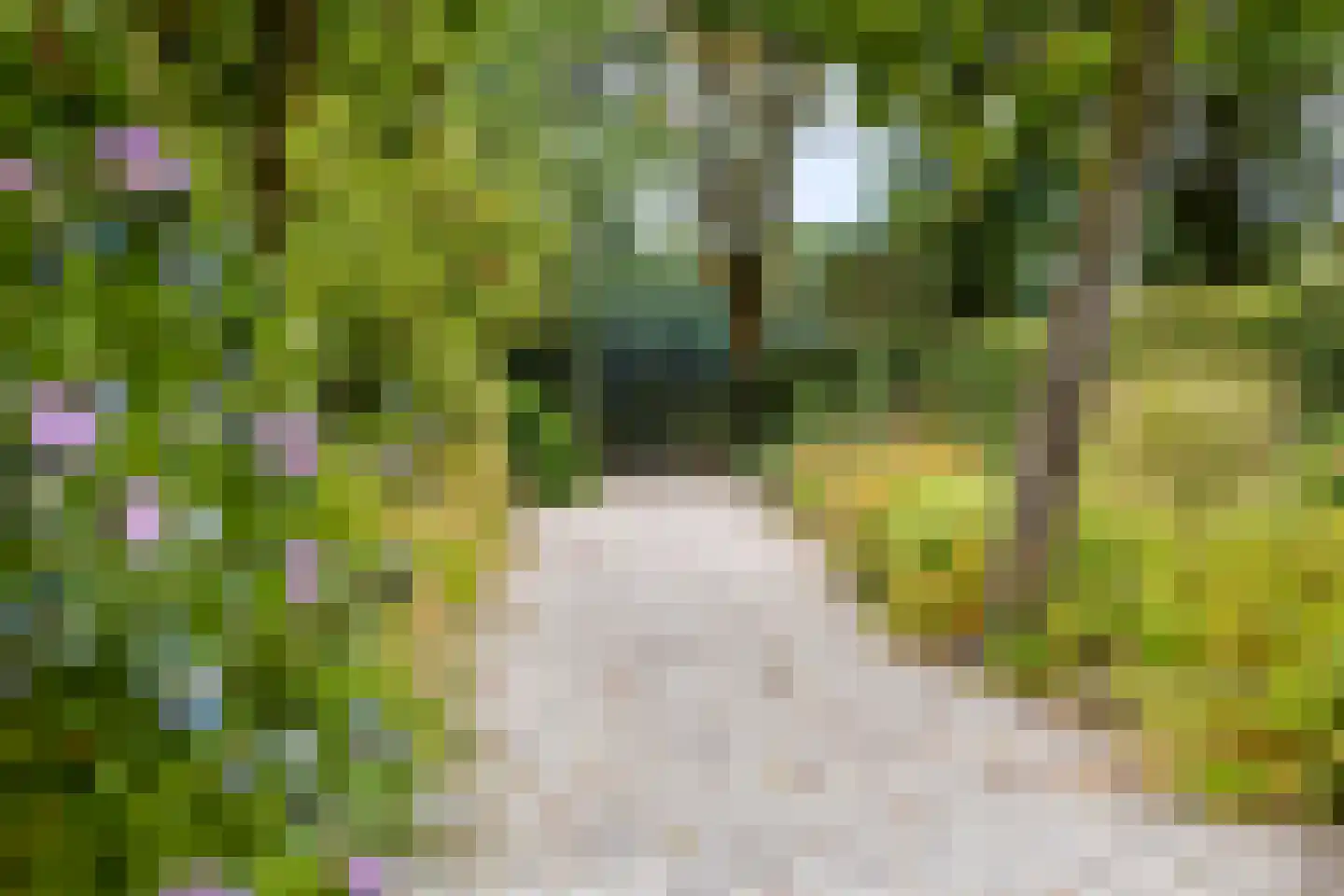 Ossenkapelweg 12 Handel thumbnail 68