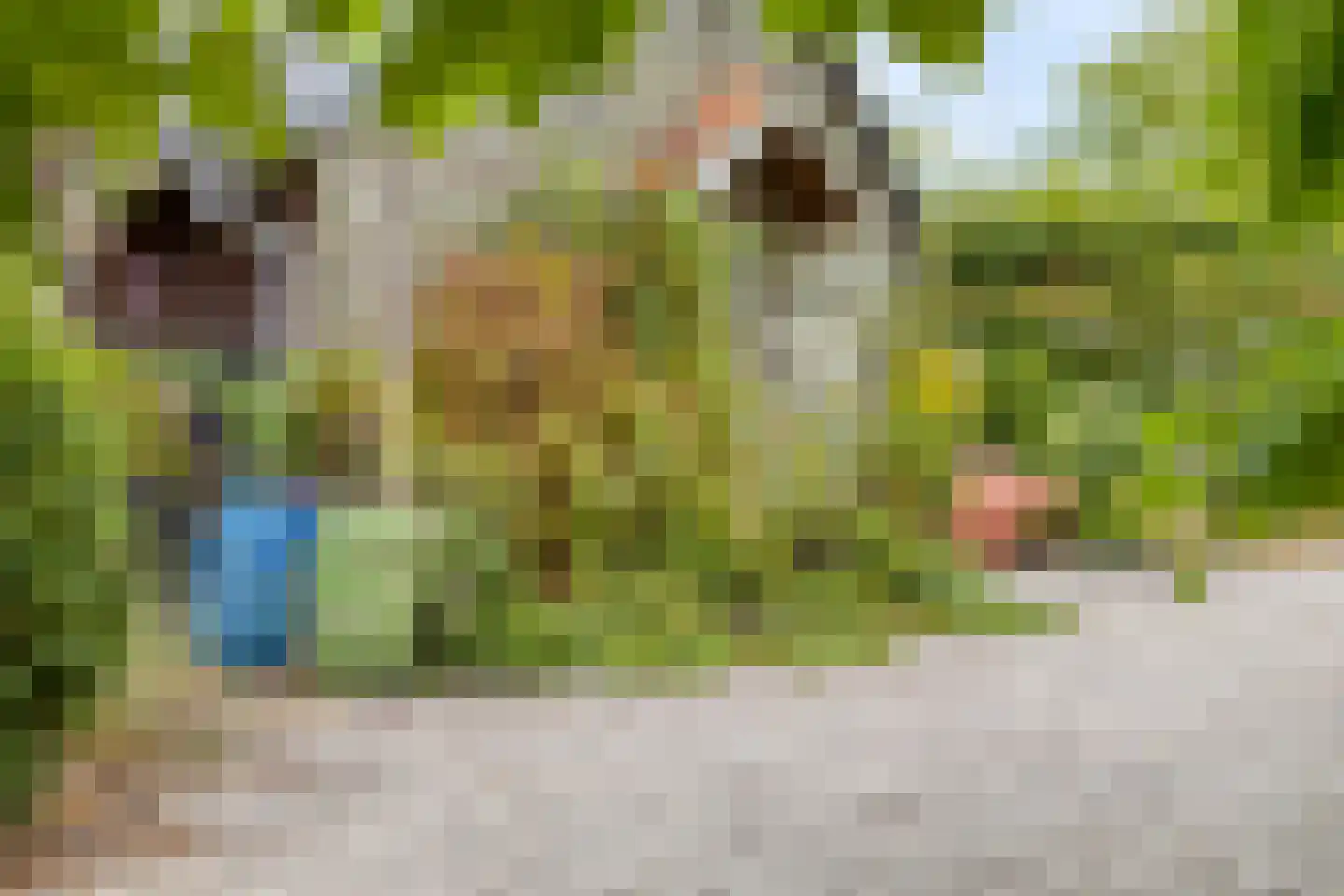 Ossenkapelweg 12 Handel thumbnail 69