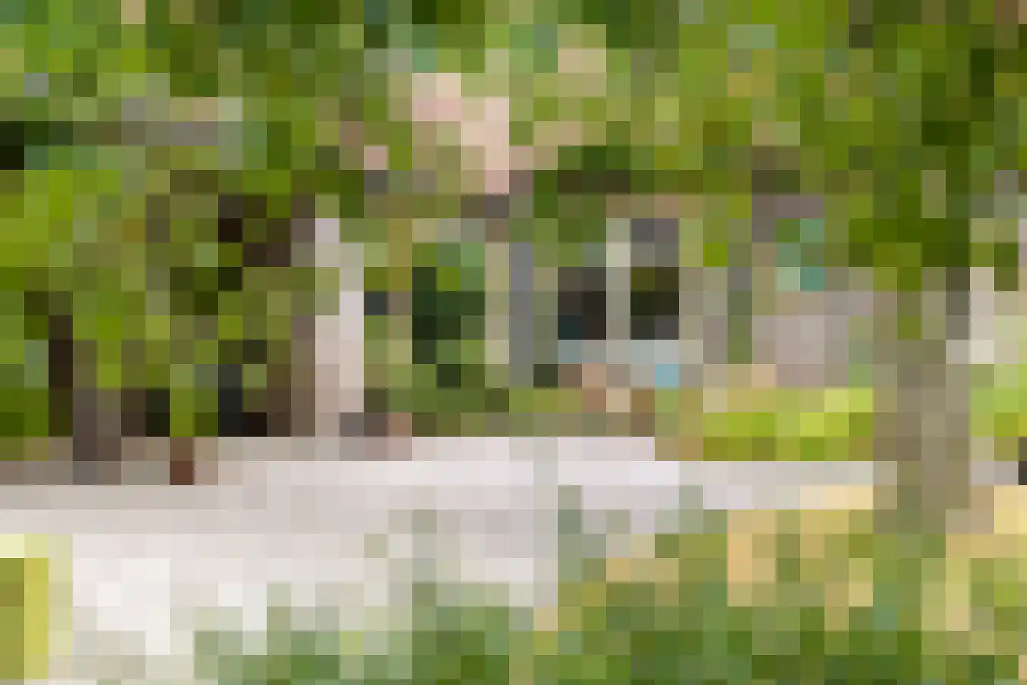 Ossenkapelweg 12 Handel thumbnail 70