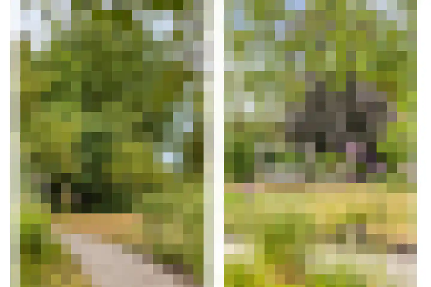 Ossenkapelweg 12 Handel thumbnail 74