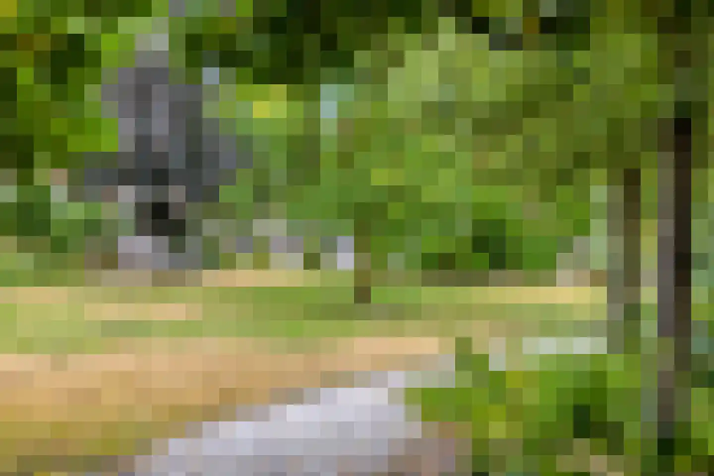 Ossenkapelweg 12 Handel thumbnail 76