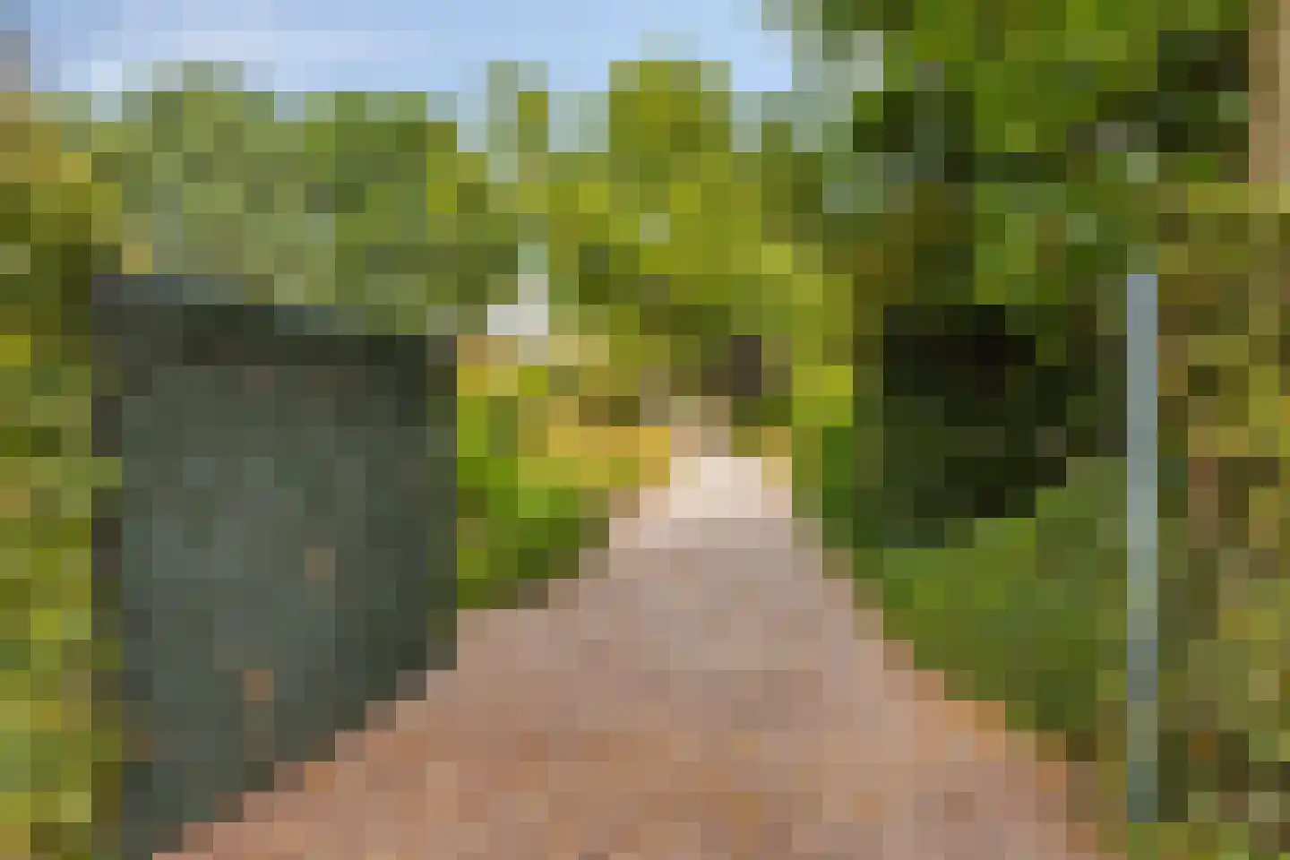 Ossenkapelweg 12 Handel thumbnail 77