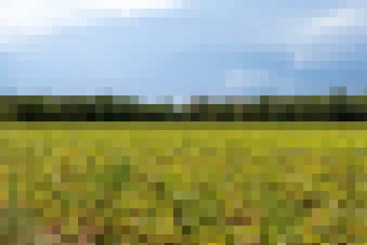 Ossenkapelweg 12 Handel thumbnail 79