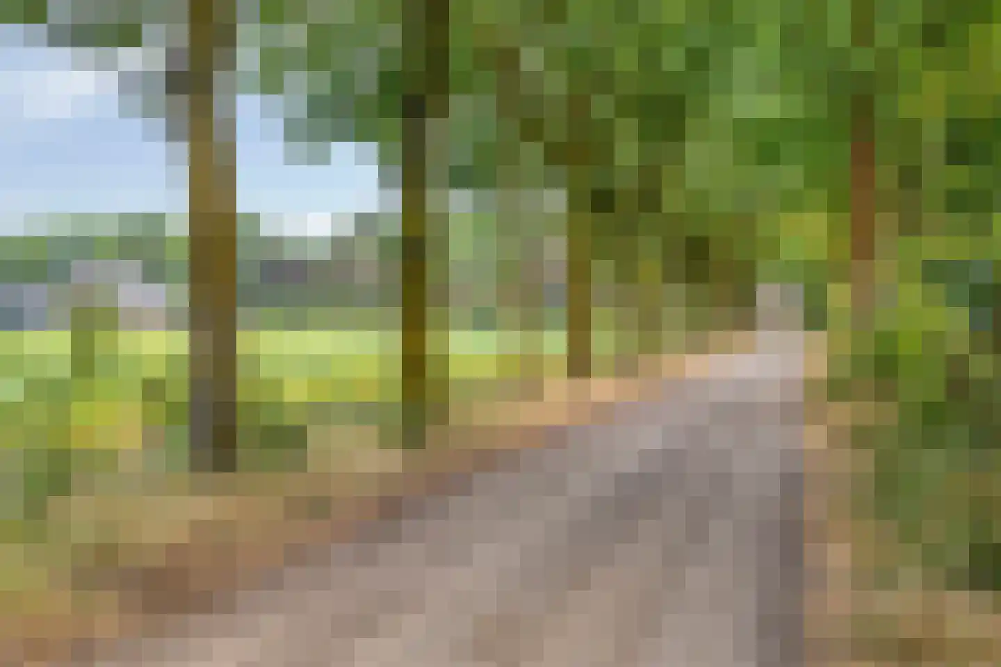 Ossenkapelweg 12 Handel thumbnail 81