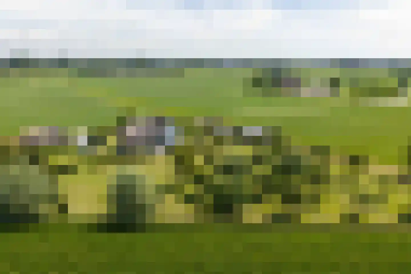 Ossenkolkweg 1 Terwolde