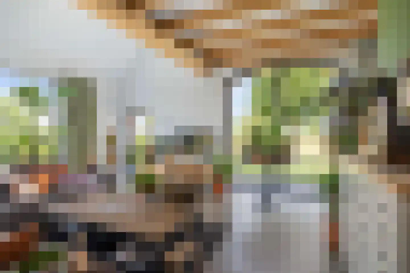 Ossenkolkweg 1 Terwolde thumbnail 12