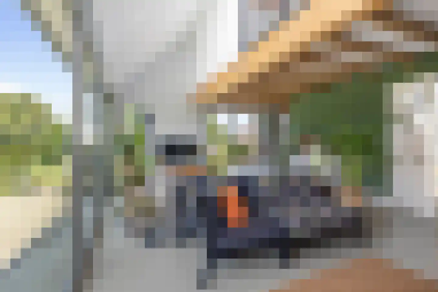Ossenkolkweg 1 Terwolde thumbnail 13