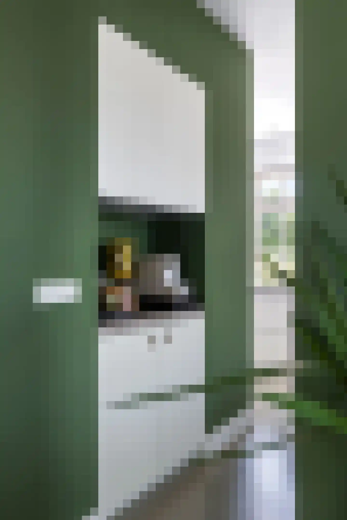 Ossenkolkweg 1 Terwolde thumbnail 22