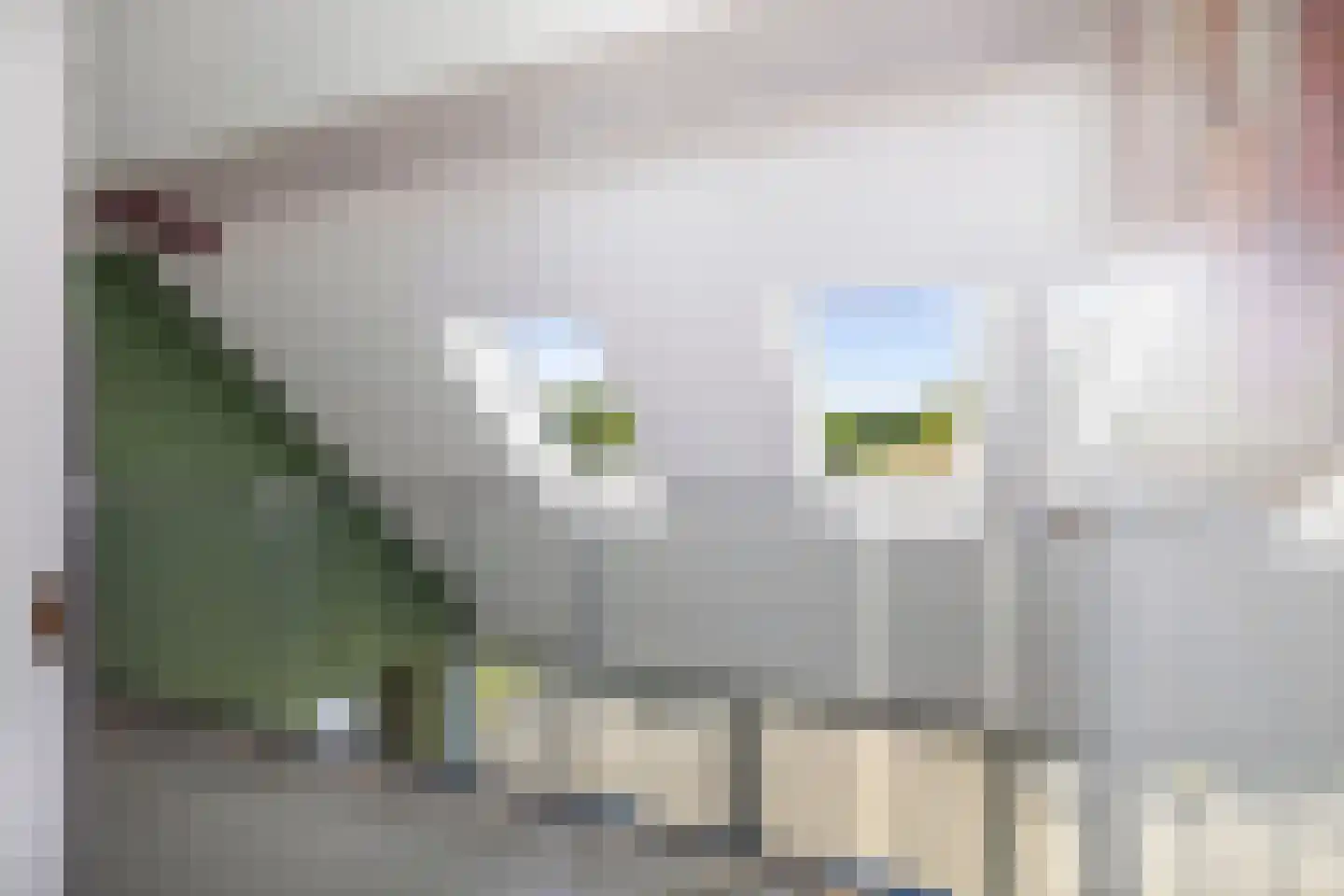 Ossenkolkweg 1 Terwolde thumbnail 27