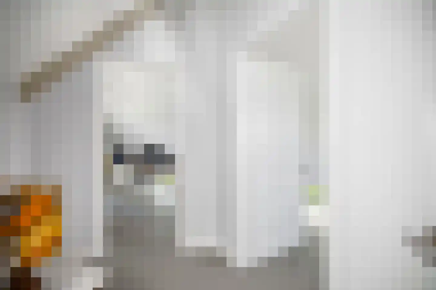 Ossenkolkweg 1 Terwolde thumbnail 29