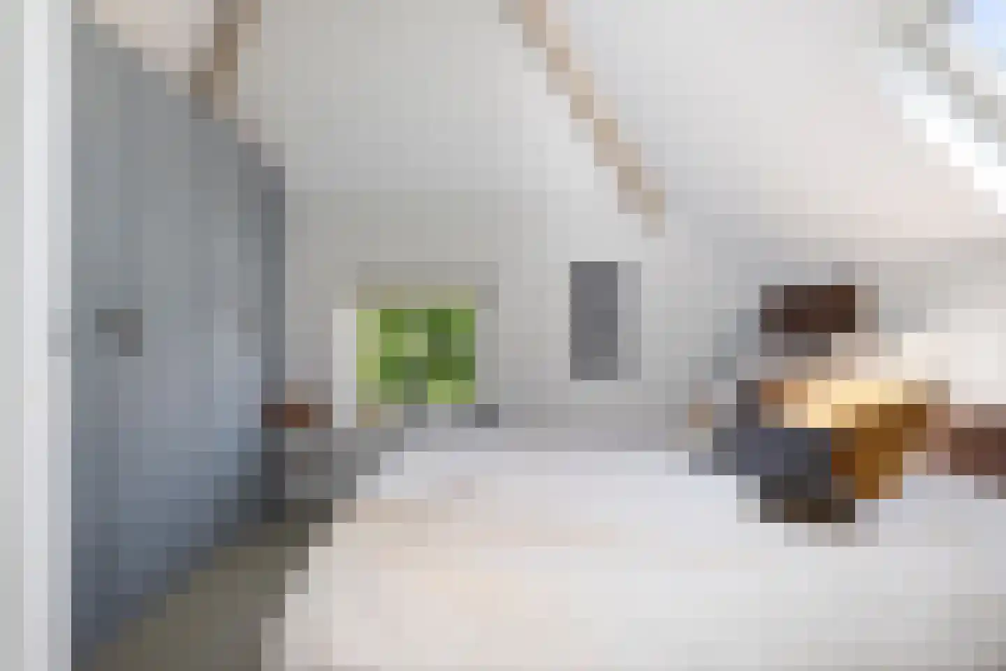 Ossenkolkweg 1 Terwolde thumbnail 34