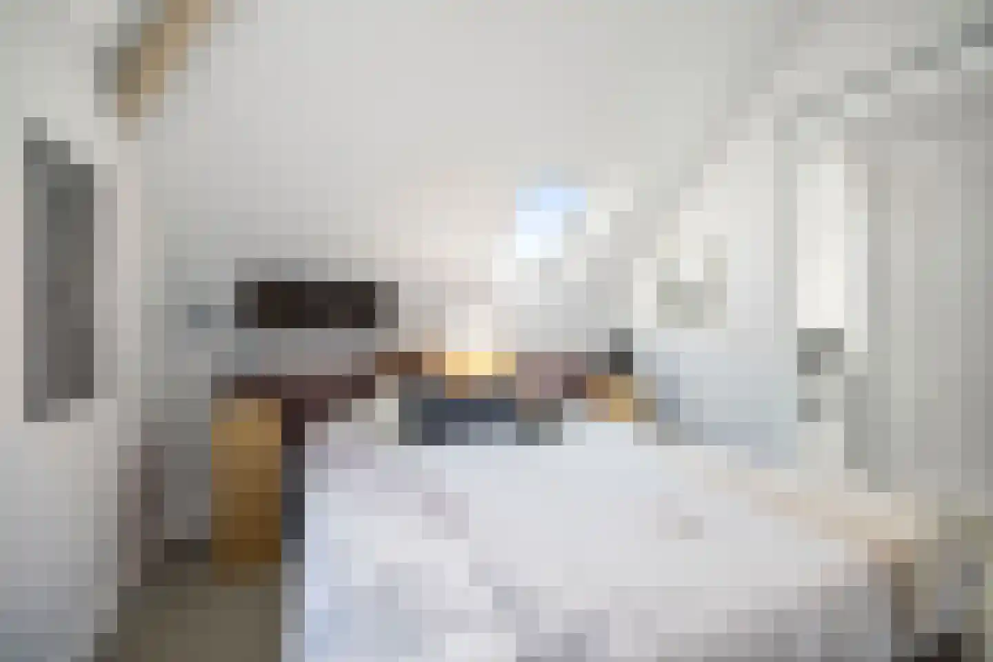 Ossenkolkweg 1 Terwolde thumbnail 36