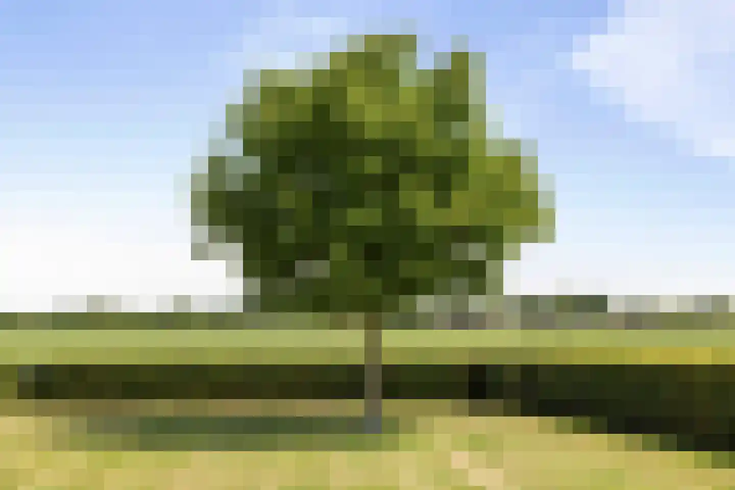 Ossenkolkweg 1 Terwolde thumbnail 45
