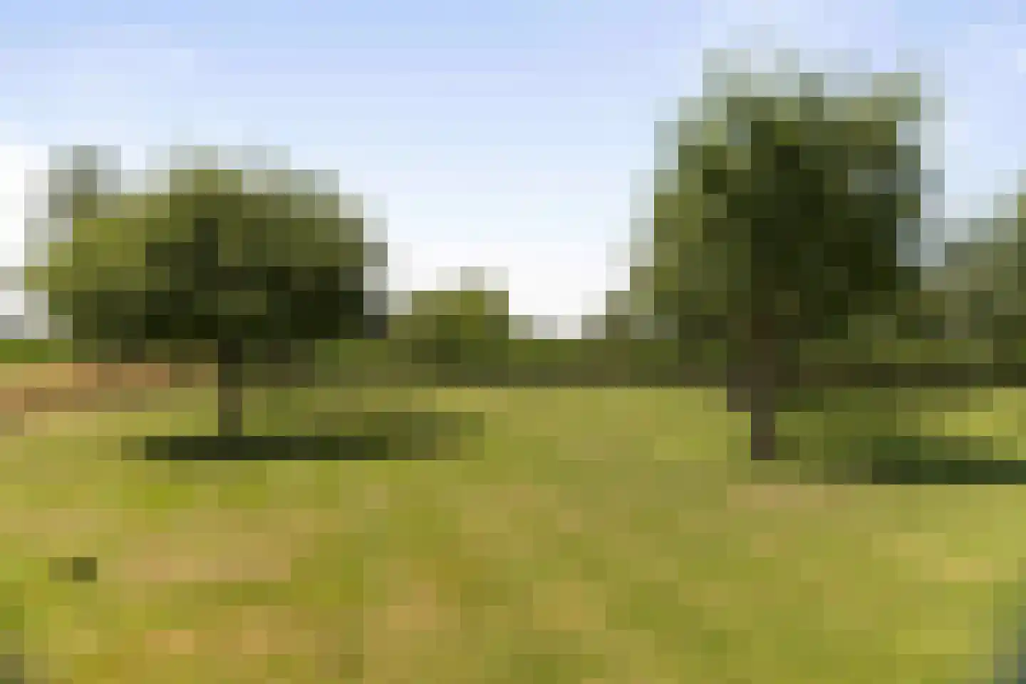 Ossenkolkweg 1 Terwolde thumbnail 48