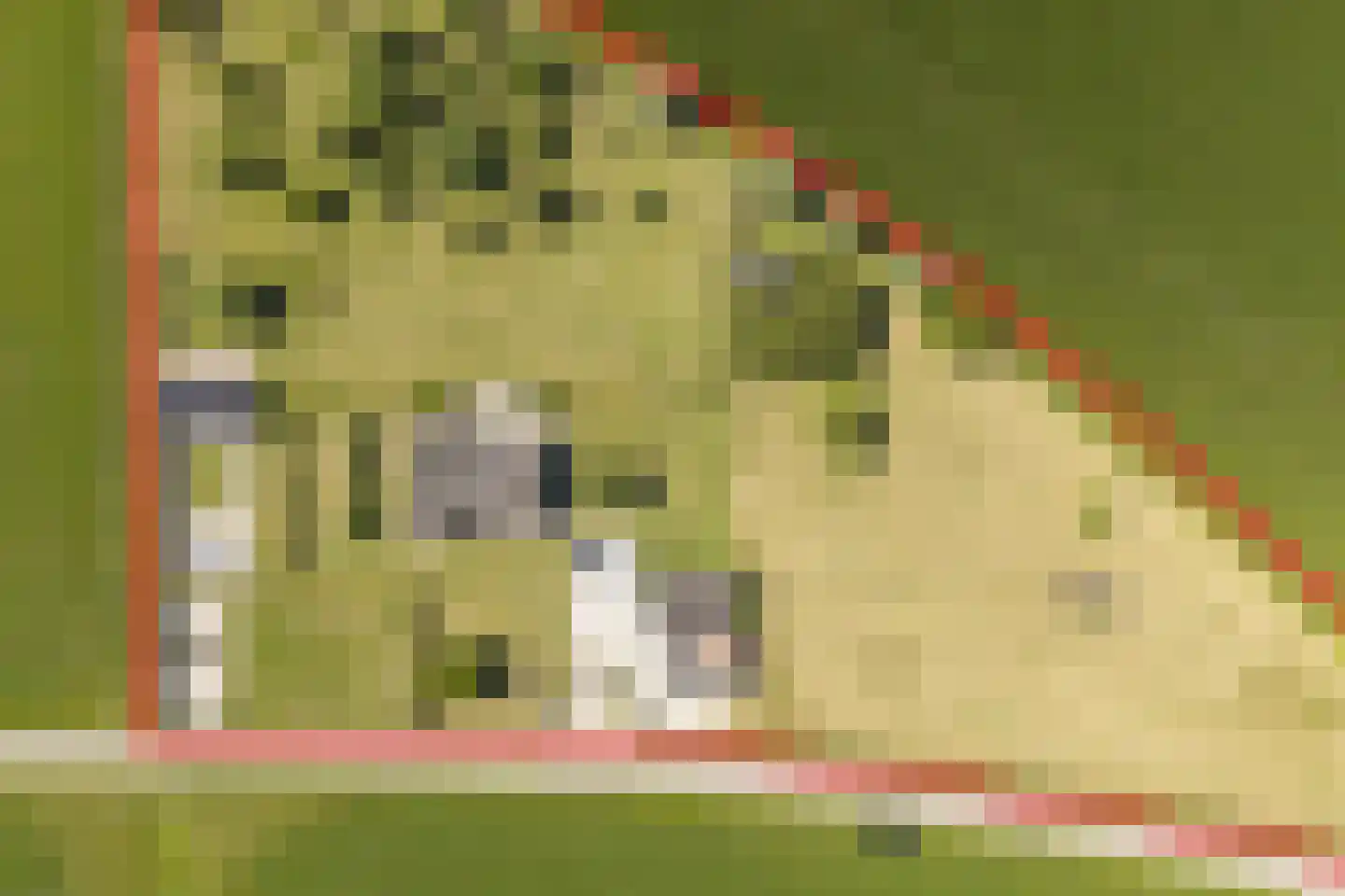 Ossenkolkweg 1 Terwolde thumbnail 6