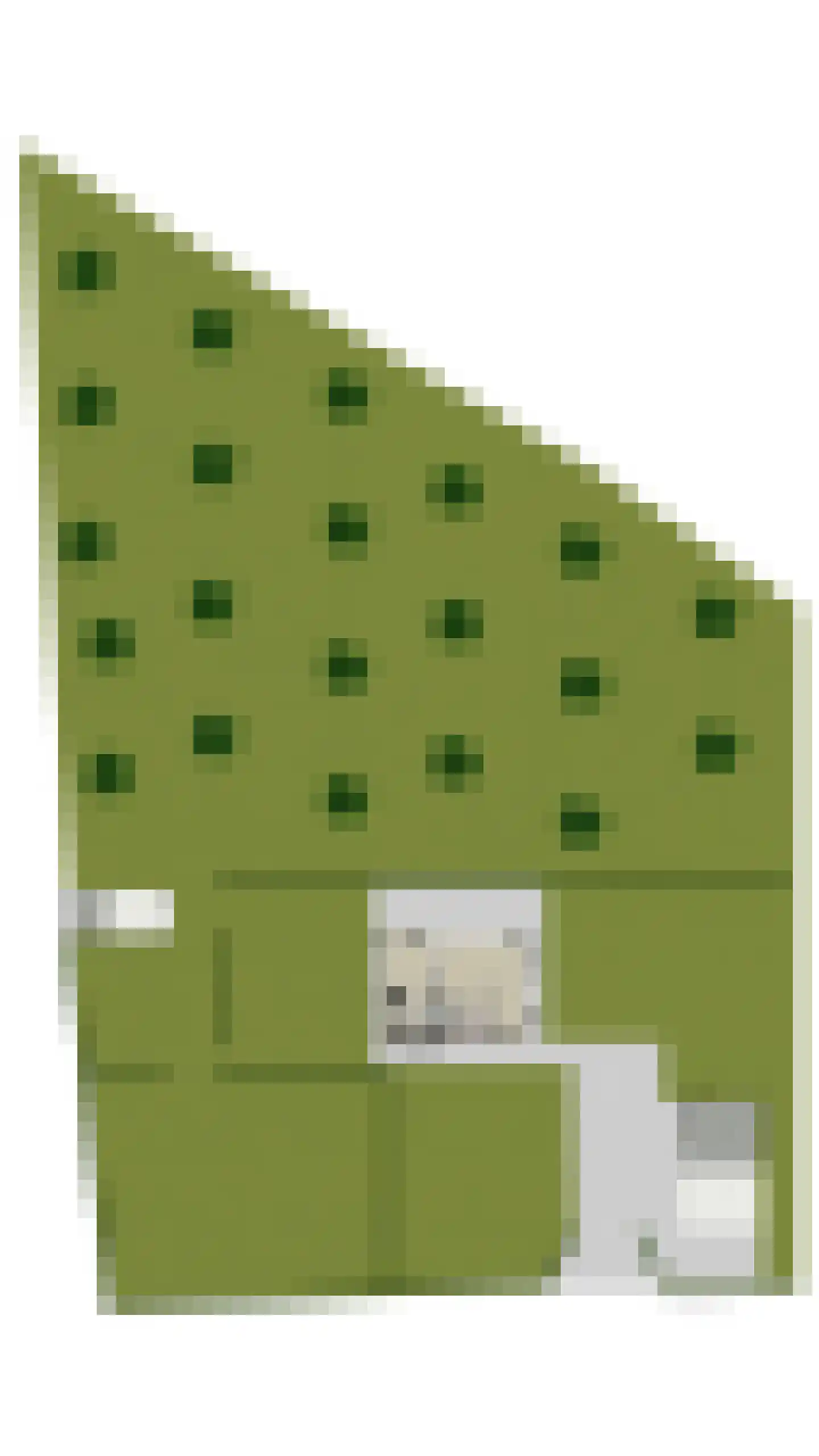 Ossenkolkweg 1 Terwolde thumbnail 60