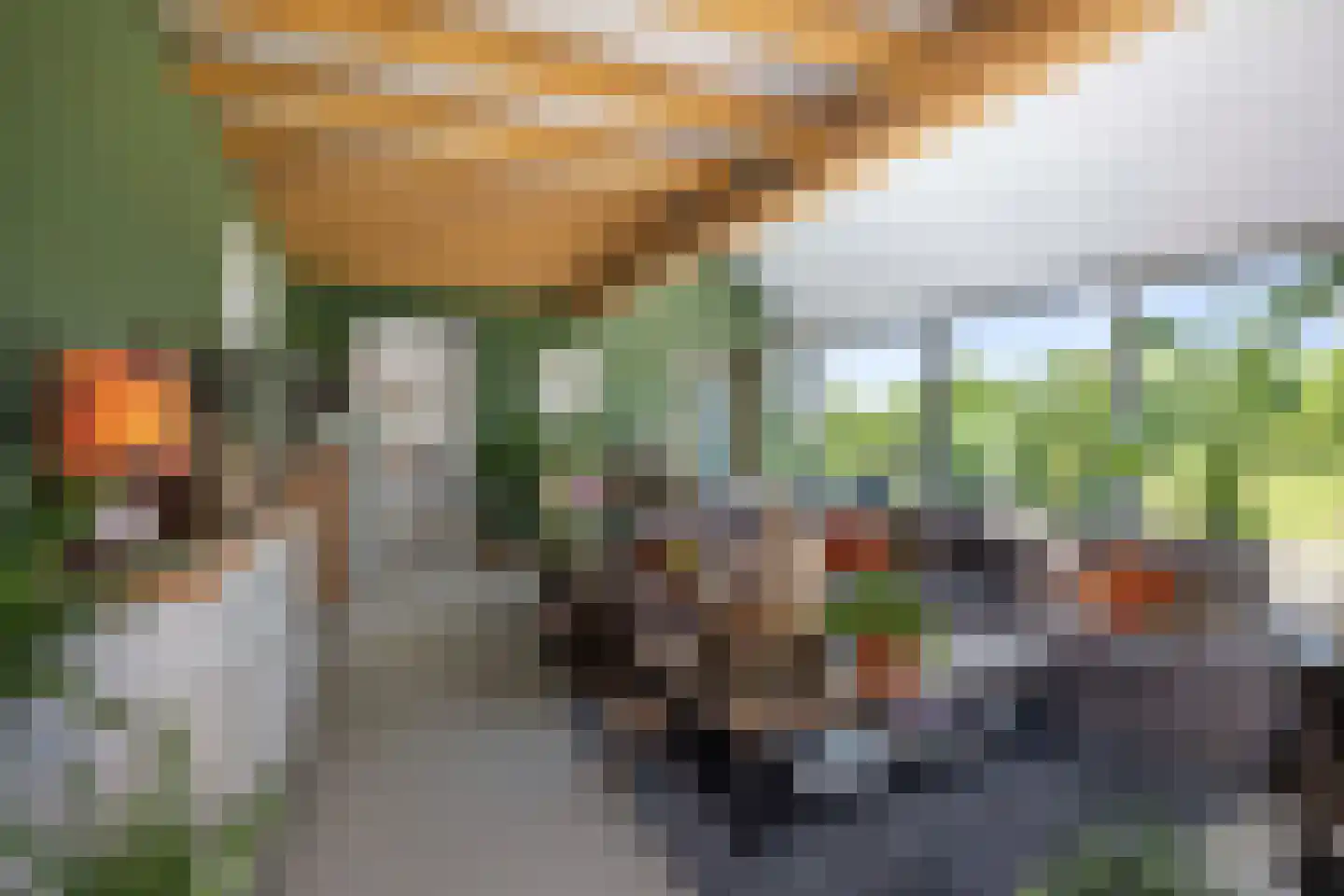 Ossenkolkweg 1 Terwolde thumbnail 9