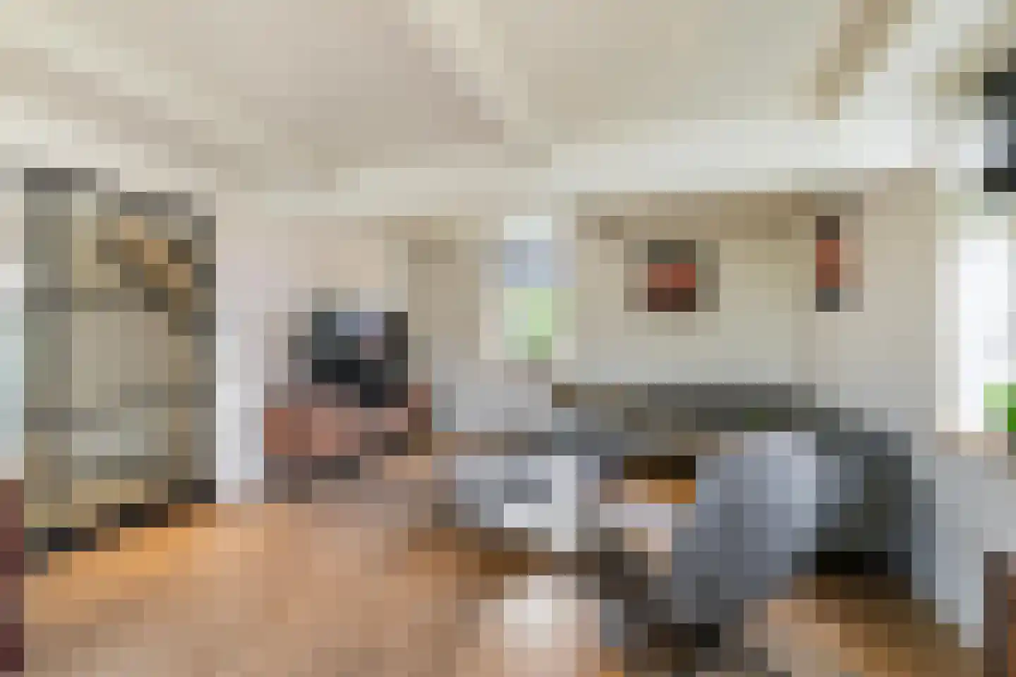 Ossenlaan 2 Leermens thumbnail 18