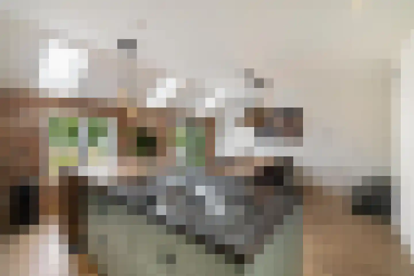 Ossenlaan 2 Leermens thumbnail 22