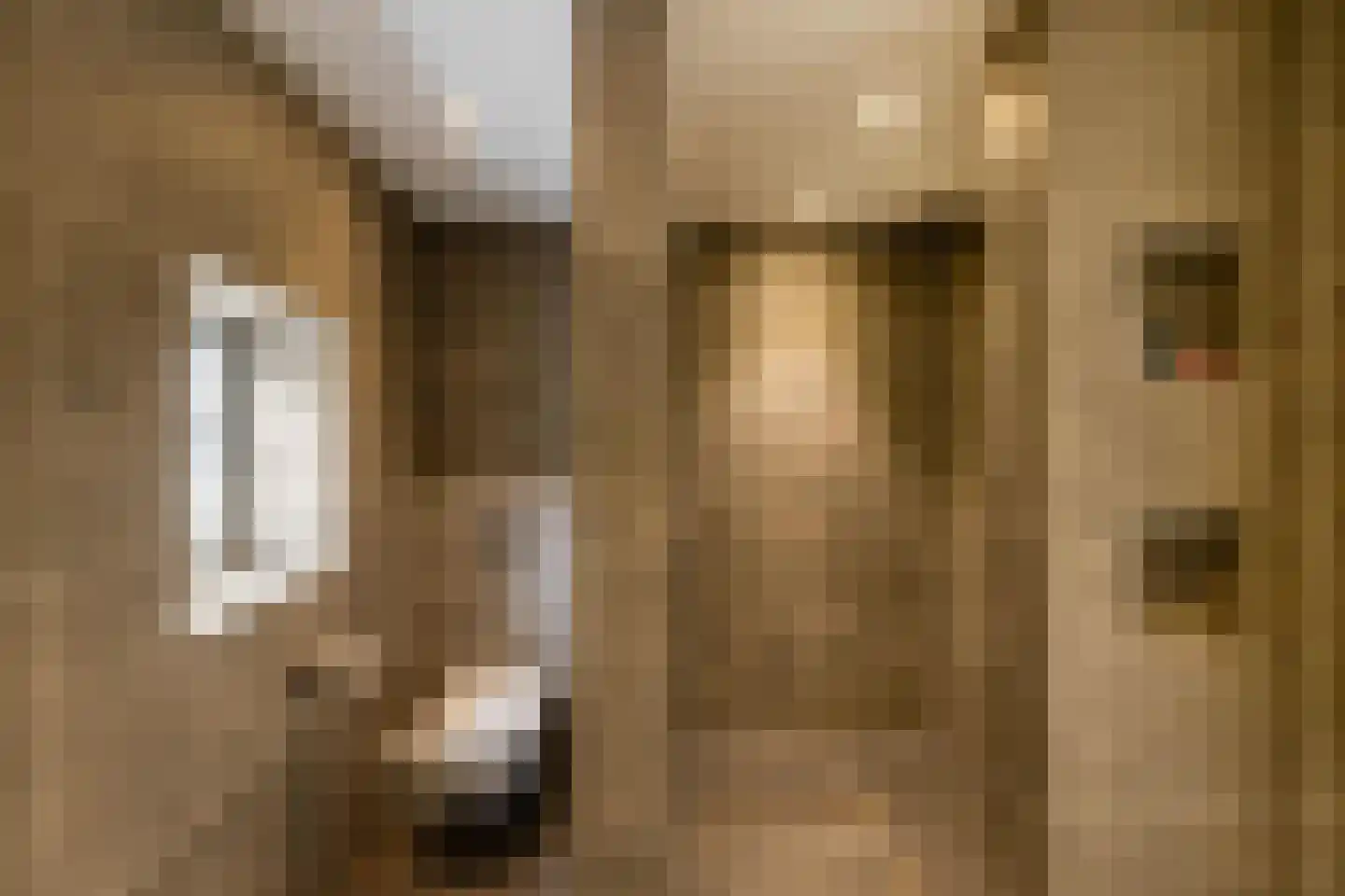 Ossenlaan 2 Leermens thumbnail 30
